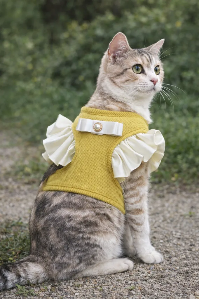 arner con ruflle.webp