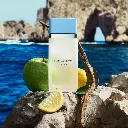 Perfume Mujer Dolce&Gabbana NUEVO Light Blue 100 ml Eau de Toilette .webp