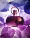 AFNAN SUPREMACY PURPPLE EDP / D 3.4 OZ 