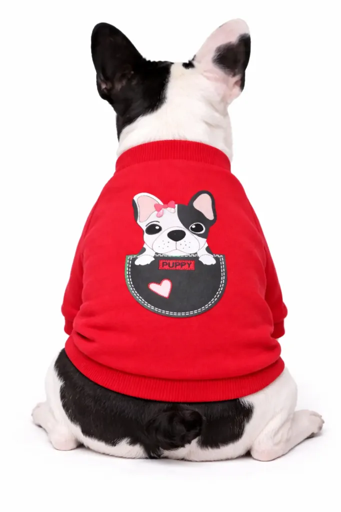 Sweater Para Mascota Rojo (S)