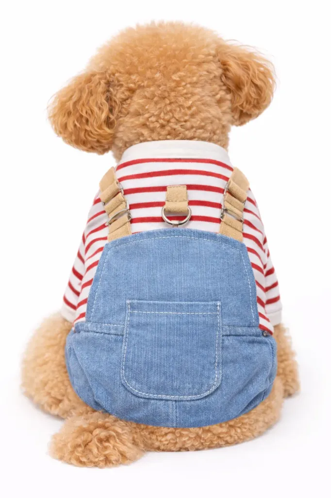 Braga Para Mascotas Rayas Rojas (S)