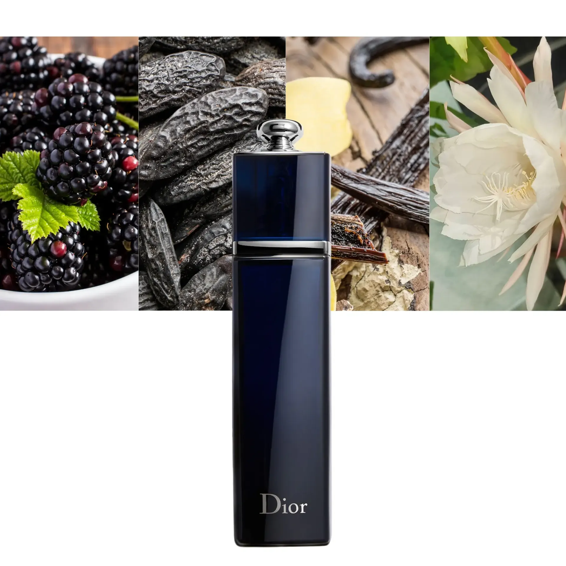 CHRISTIAN DIOR DIOR ADDICT EDP /D 3.4 OZ