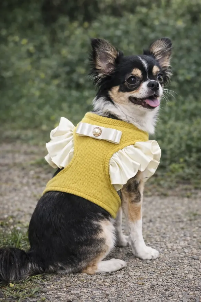 Arnes con manguitas de ruffle para mascota