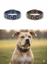 Collar para perro grande