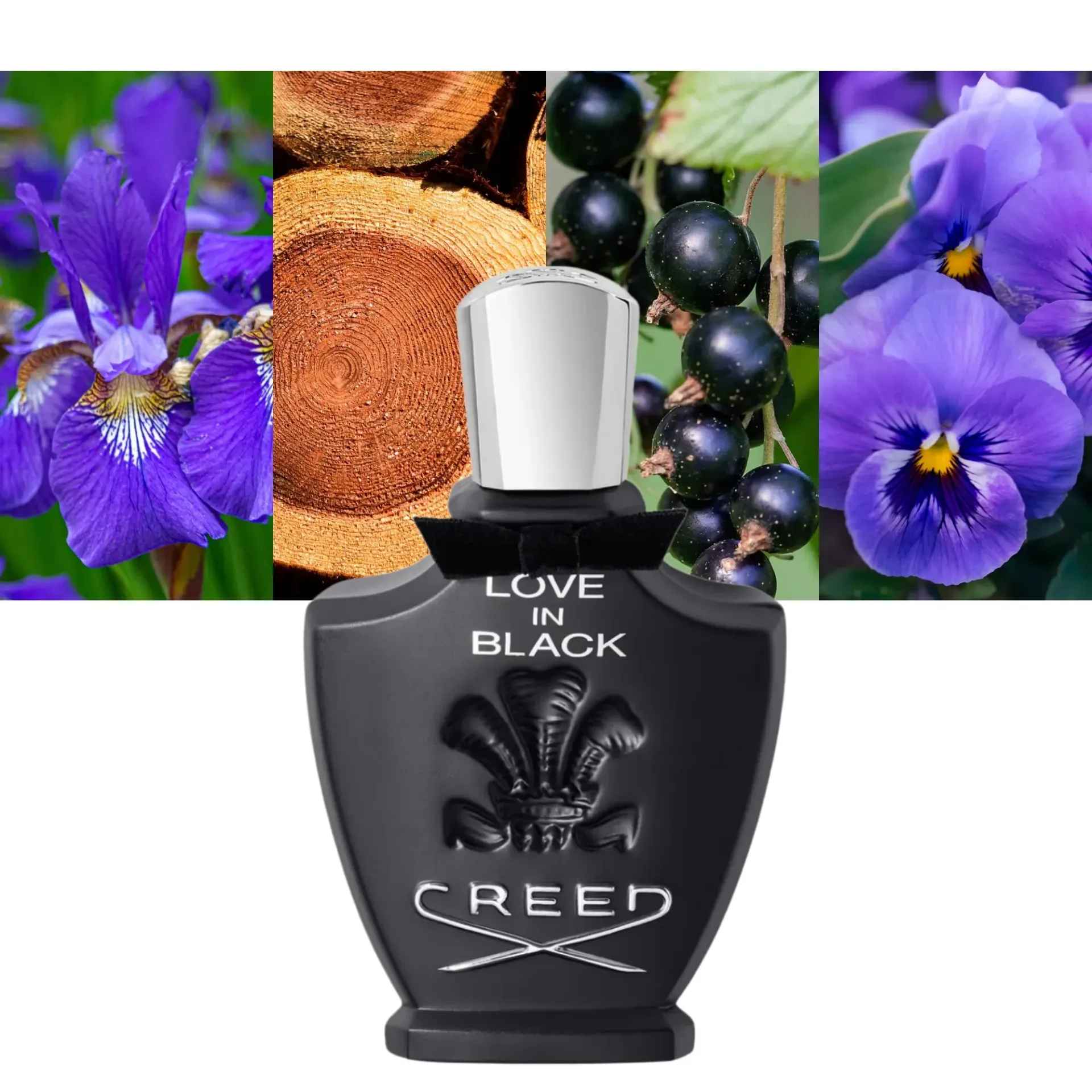 CREED LOVE IN BLACK EDP / D 2.5 OZ 