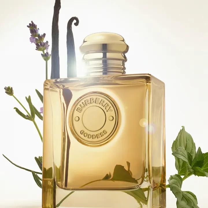 BURBERRY GODDES PARFUM / D 3.3 OZ 