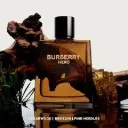 BURBERRY HERO EDP / H 3.3 OZ 