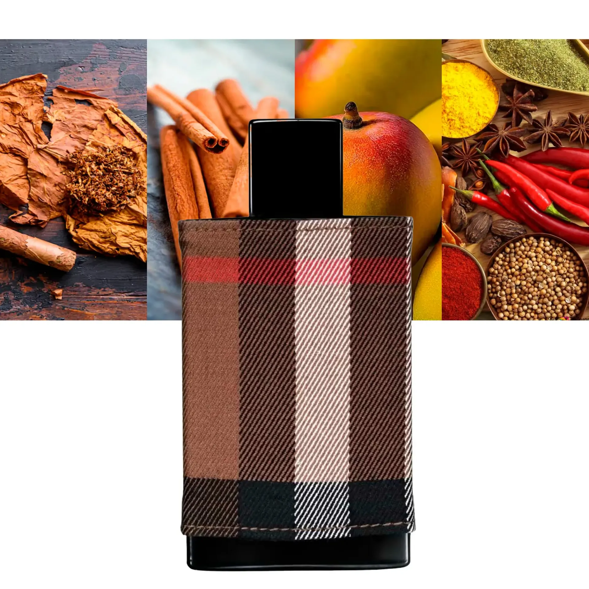 BURBERRY LONDON EDT / 100 ML