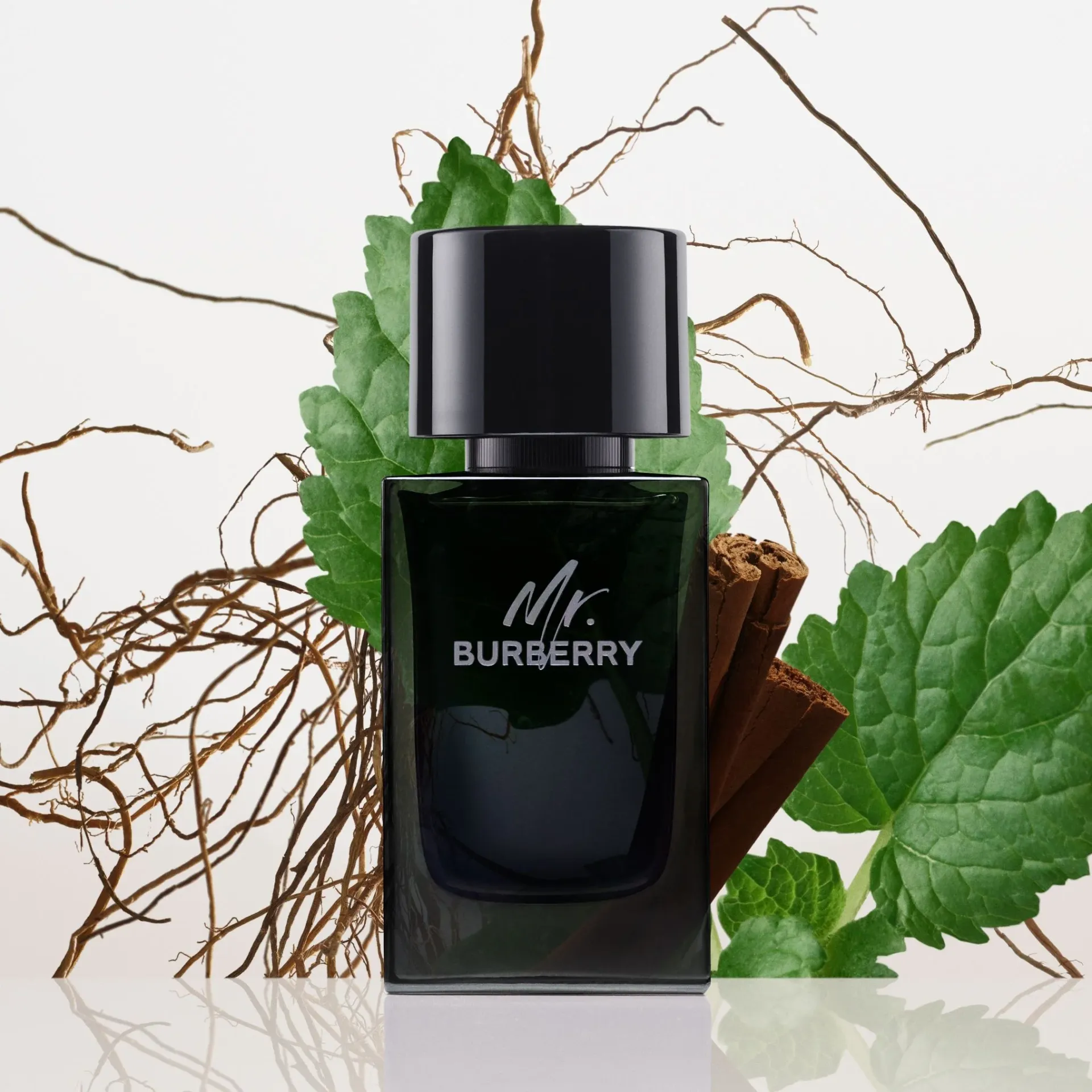 BURBERRY MR BURBERRY EDP / H 3.4 OZ